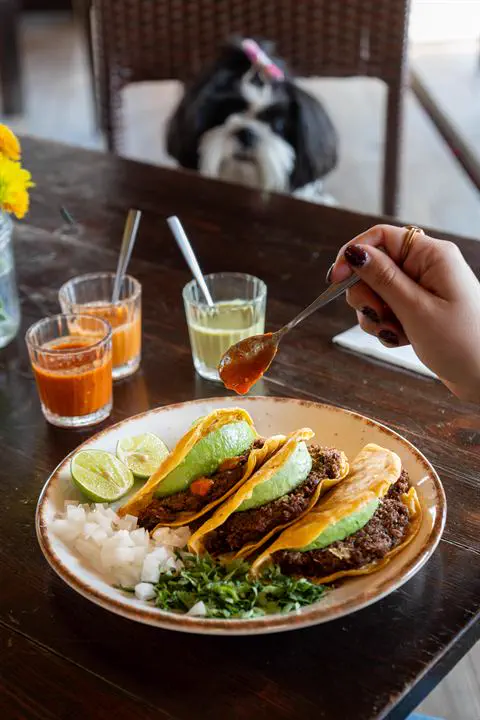 Tacos y aguas frescas en la terraza, con el perro de la casa al fondo